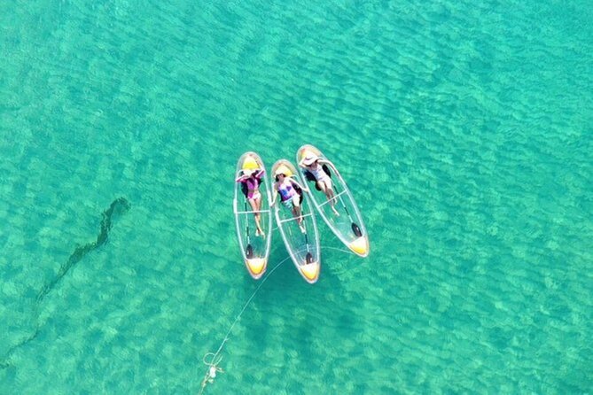 Mnemba Dolphin Tour, Clear Kayak, Cooking Class, Horse Riding - Timing, traffic, and the risk of a crowded day