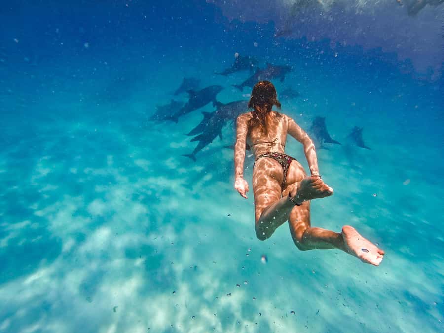 Mnemba Island: Dolphin Swim & Snorkeling with Optional Lunch - Setting out from Muyuni Beach