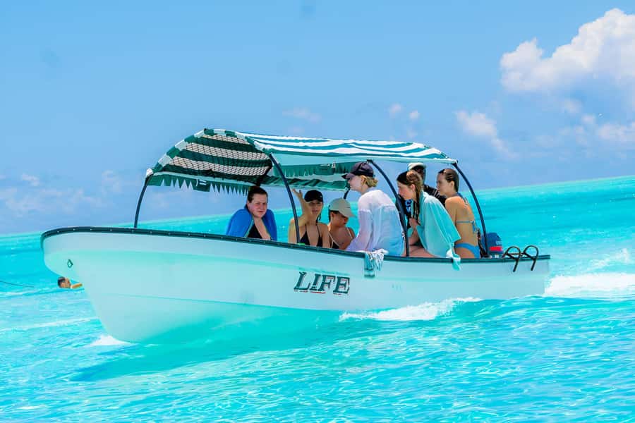 Mnemba Island: Dolphin Swim & Snorkeling with Optional Lunch - What the guides add to the experience