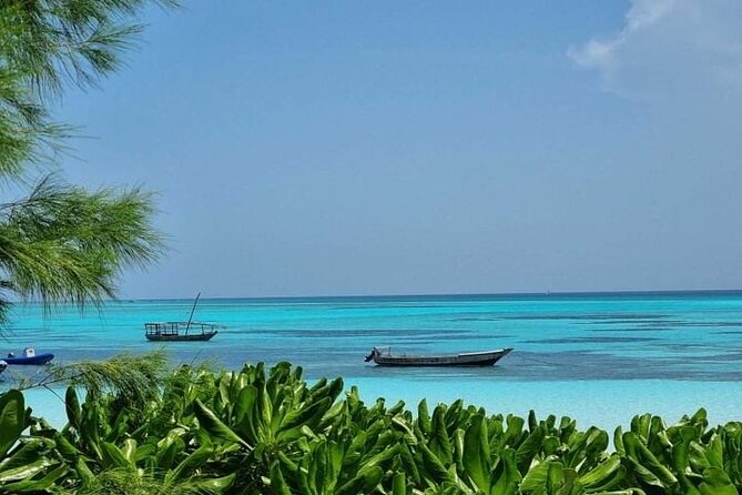 Mnemba Island Half Day Live Aquarium With Transfer - Zanzibar - Key points at a glance