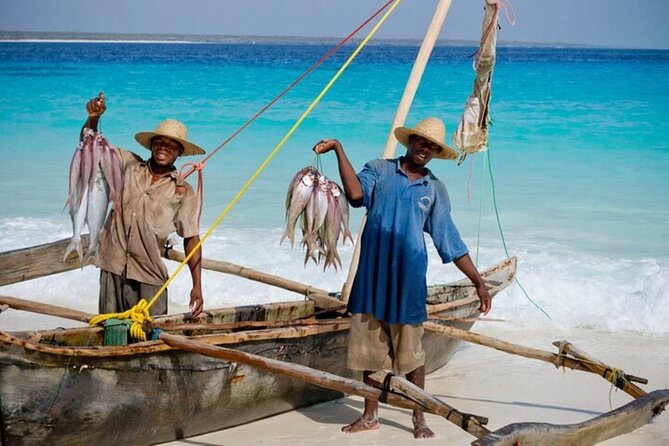 Mnemba Island Half Day Live Aquarium With Transfer - Zanzibar - What the Mnemba morning is really about