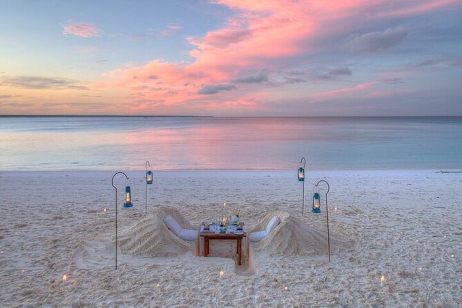 Mnemba Island Half Day Live Aquarium With Transfer - Zanzibar - Dolphin watching and the limits of wildlife plans