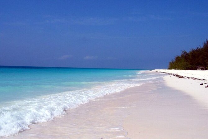 Mnemba Island Half Day Live Aquarium With Transfer - Zanzibar - Does the tour take you onto Mnemba Island?