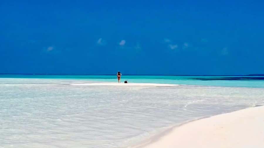 Mnemba Island, Jozani Forest, Starfish Adventure, The Rock - A full day built around Zanzibar’s best contrasts
