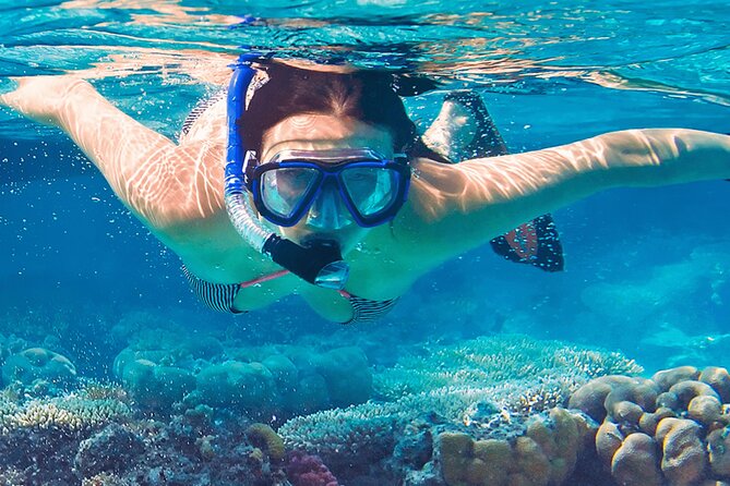 Mnemba Island Marine Safari Snorkeling and Dolphin Watching - Is $150 good value?