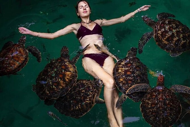 Mnemba Island, Nungwi Village & Sea Turtle Experience - How the seven-hour schedule feels