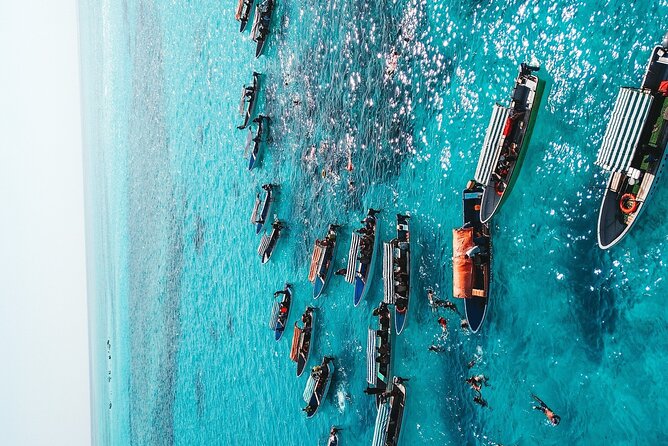 Mnemba Island, Nungwi Village & Sea Turtle Experience - Who should book this experience