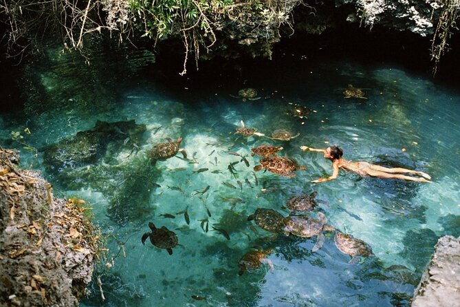 Mnemba Island, Nungwi Village & Sea Turtle Experience - Baraka Natural Aquarium and its tidal pool