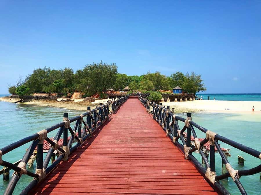 Mnemba Island, Prison Island, Secret Garden, Jozani Forest - Secret Garden brings food into the day