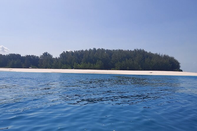 Mnemba Island Snorkeling and Dolphin tour - Key points to know before booking