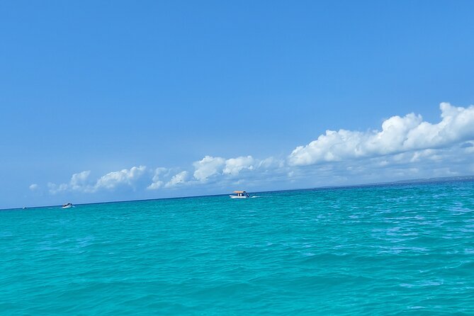 Mnemba Island Snorkeling and Dolphin tour - Why Mnemba makes a good half-day outing