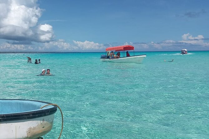 Mnemba Island Snorkeling and Dolphin tour - Guides, service, and the eco-friendly angle