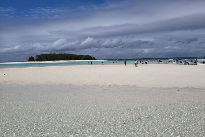 Mnemba Island snorkeling and Swimming with Dolphin - Who Should Book This Half-Day Excursion?