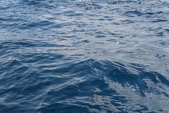 Mnemba Island Snorkeling and Swimming with Dolphins - Searching for dolphins in open water