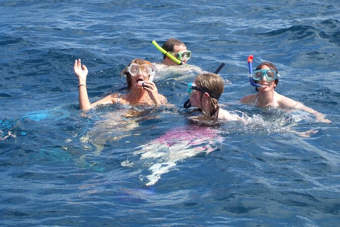 Mnemba Island Snorkeling and Swimming with Dolphins - Weather, cancellations, and practical planning