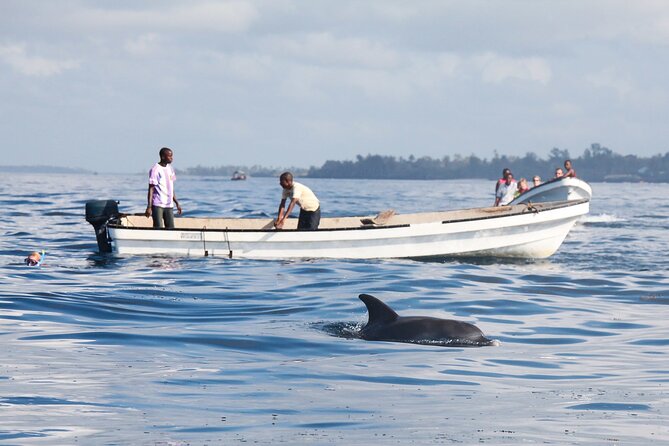 Mnemba Island Snorkeling and Swimming with Dolphins - Starting from Stone Town between 7 and 8 AM