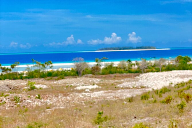 Mnemba island snorkeling tour - Reaching Mnemba Island by boat