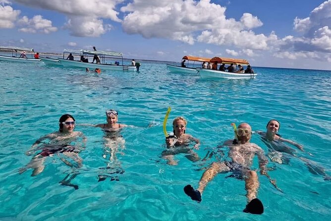 Mnemba island snorkeling tour - Who will enjoy this Mnemba outing?