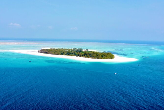 Mnemba island snorkeling tour - What the four-hour itinerary feels like