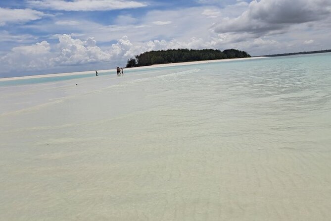 Mnemba Snorkeling, Dolphin and Baraka Natural Aquarium - Setting out from Nungwi and Kendwa at 9:00 AM