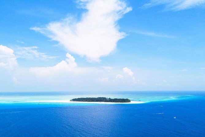 Mnemba Snorkeling, Kuza Cave, Blue Lagoon, Starfish Tour, The Rock Restaurant - Mnemba Atoll: fish, dolphins, and the tide