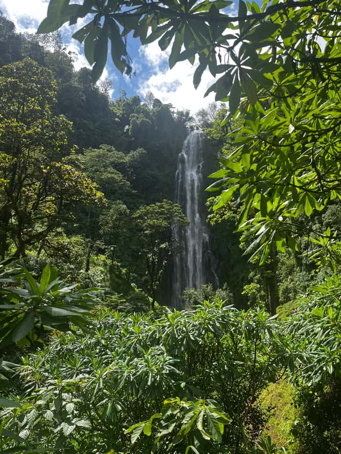 Moshi: A Day Tour To Materuni Waterfall - Reaching Materuni Waterfall on foot