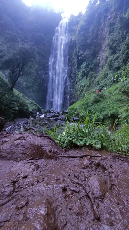 Moshi: A Day Tour To Materuni Waterfall - Meeting the Chaga people and sharing lunch