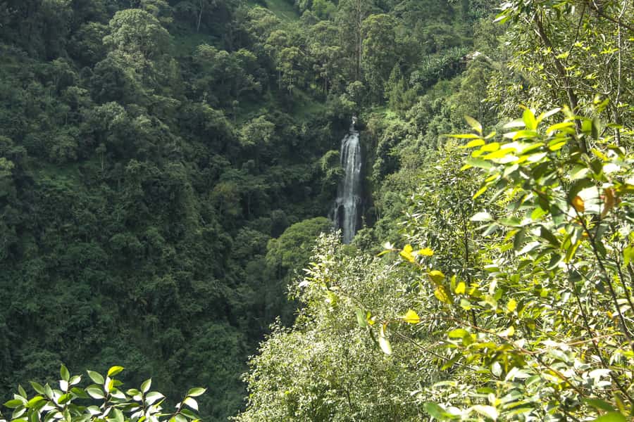 Moshi: A Day Tour To Materuni Waterfall - What $42 covers, and where the value lies