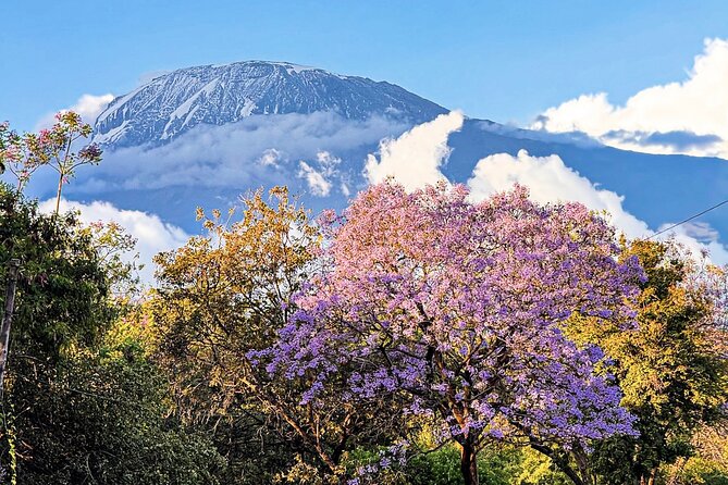 Moshi City Tour: Explore the Foothill of Kilimanjaro on Foot - Key points at a glance