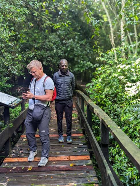 Moshi: Kilimanjaro Climb Marangu Route Guided Tour - Mandara Hut at 2,720 Meters