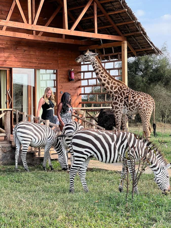 Moshi: Serval Wildlife Tour with food and drinks - Key points to know before booking
