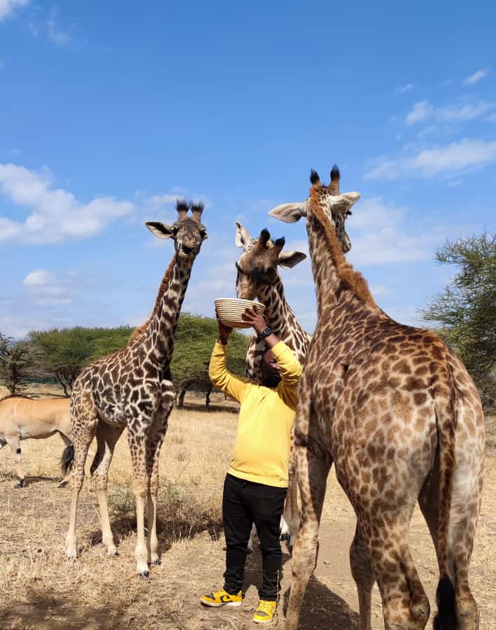 Moshi: Serval Wildlife Tour with food and drinks - What makes Serval Wildlife Sanctuary different