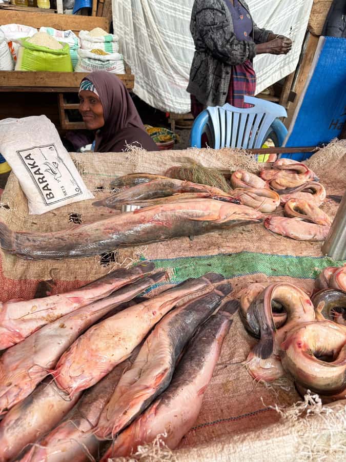 Moshi town 1 day tour - Banana farms and the work behind familiar food
