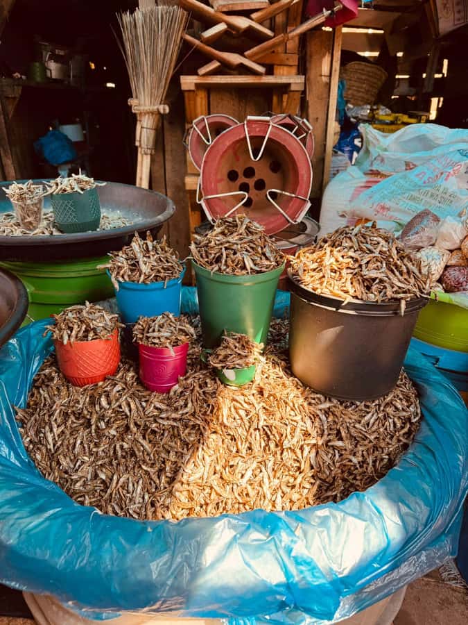 Moshi: Town tour and Local Markets tour - Moshi Bus Stand and the town’s transport trade