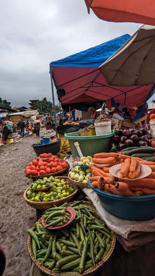 Moshi Town: Walking Tour: Theme Urban lifestyle - Key points to know before you go