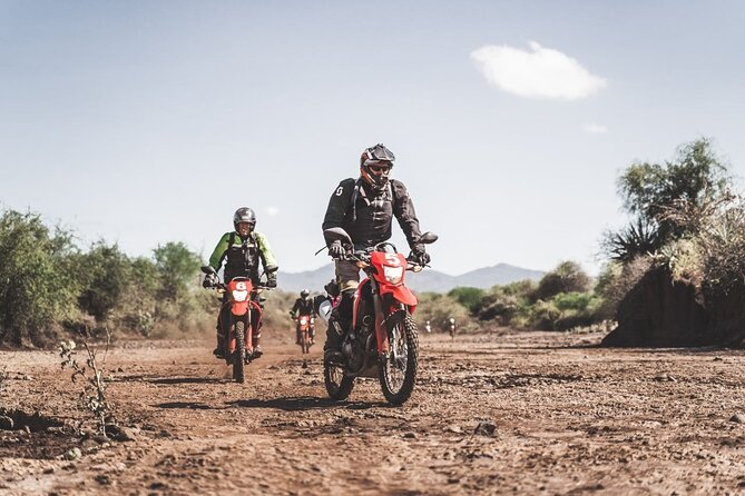 Motorcycle Safari - Wildlife from the saddle