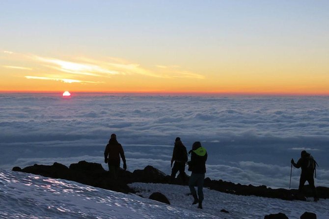 Mount Kilimanjaro 6 days - Machame route - Day 4: Barranco to Barafu Camp