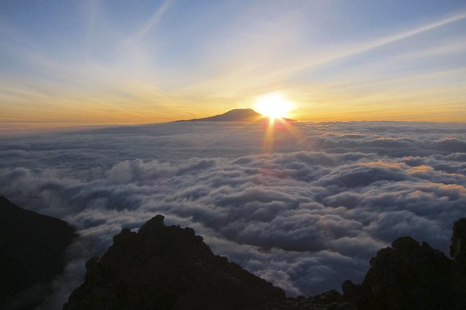 Mount Kilimanjaro 6 days - Machame route - Day 6: Mweka Trail and the return to Moshi