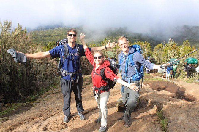 Mount Kilimanjaro 6 days - Machame route - Day 3: Lava Tower and the important Barranco descent