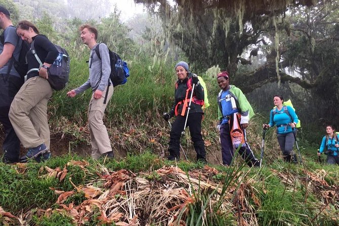 Mount Kilimanjaro 7 Days - Machame Route - Day 5: Karanga Valley to Barafu Camp