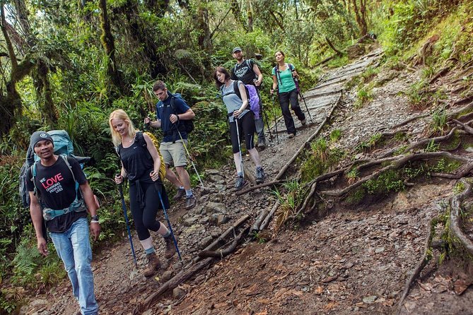 Mount Kilimanjaro 7 Days - Machame Route - What the $2,530 price really covers