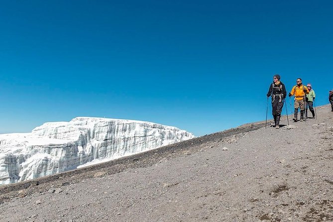 Mount Kilimanjaro 7 Days - Machame Route - Day 2: Machame Camp to Shira Camp