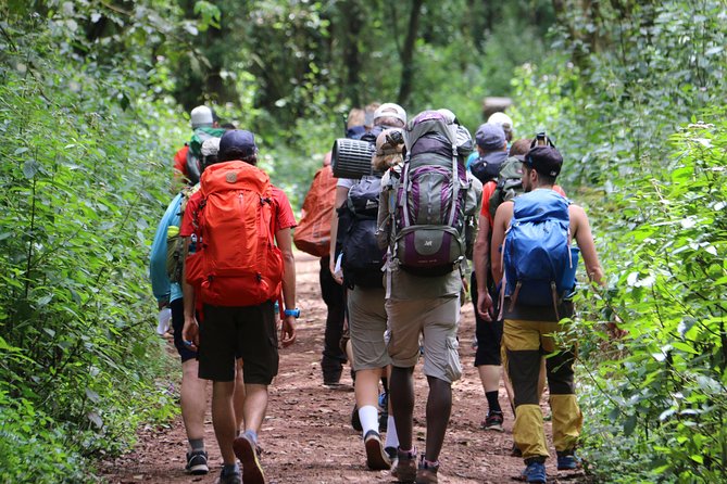 Mount Kilimanjaro Day Hike - The 7:00 am pickup and three-hour drive