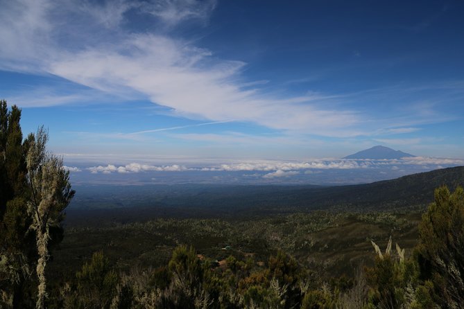 Mount Kilimanjaro Day Hike - Marangu Gate: registration before the trail