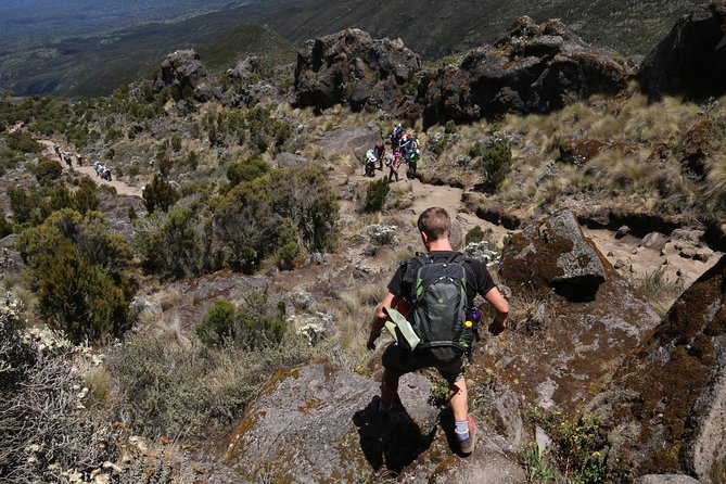 Mount Kilimanjaro Day Hike - Is $300 per person good value?