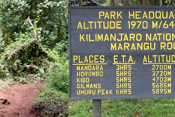 Mount Kilimanjaro Day Hike Through Marangu Route to Mandara Hut - A real Kilimanjaro taste in one long day