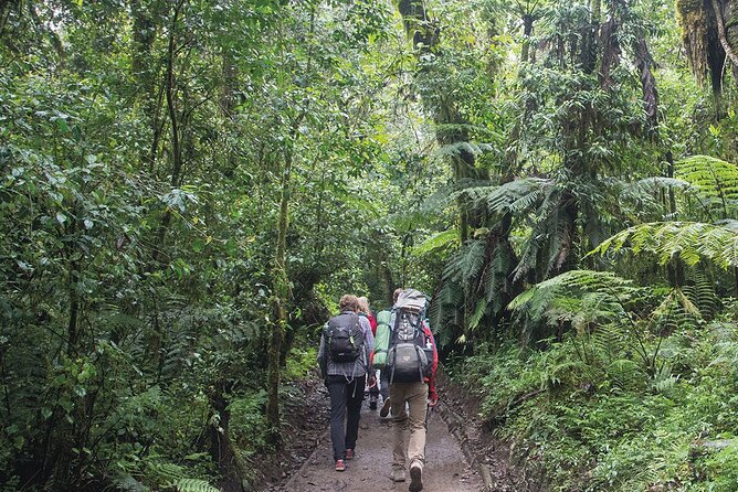 Mount Kilimanjaro Day Hike Through Marangu Route to Mandara Hut - The Maundi Crater walk after lunch