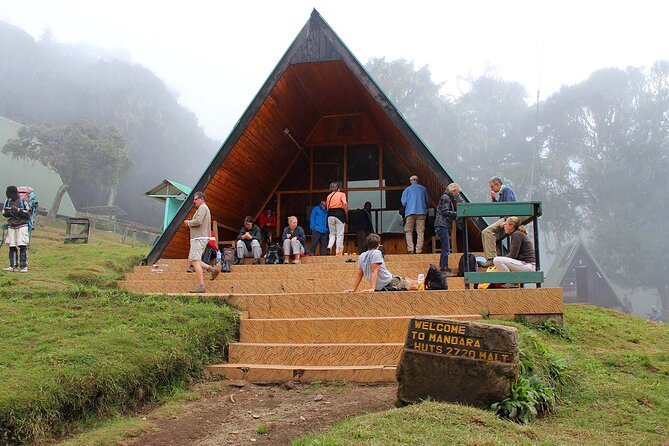 Mount Kilimanjaro Day Hike Through Marangu Route to Mandara Hut - The long return to Marangu Gate