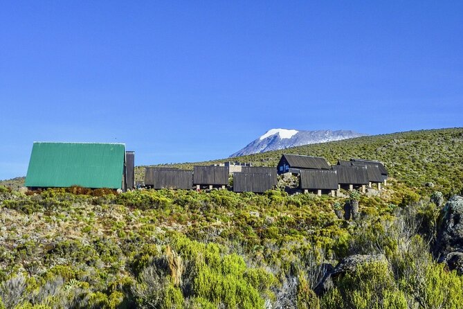 Mount Kilimanjaro Day Hike Through Marangu Route to Mandara Hut - From Arusha to Marangu Gate at 1,860 meters