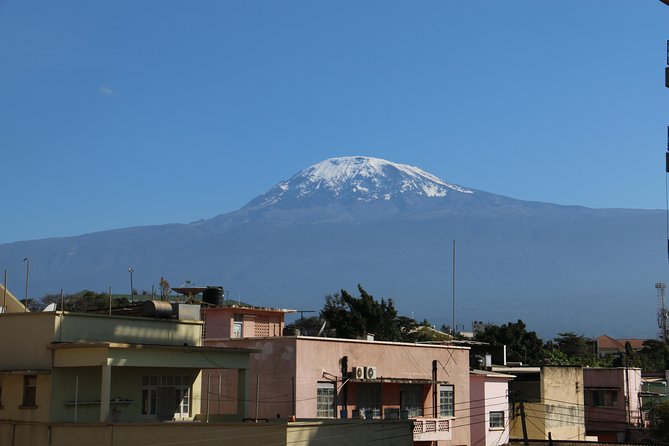 Mount Kilimanjaro Day Hike - Picnic lunch and the 30-minute hut stop